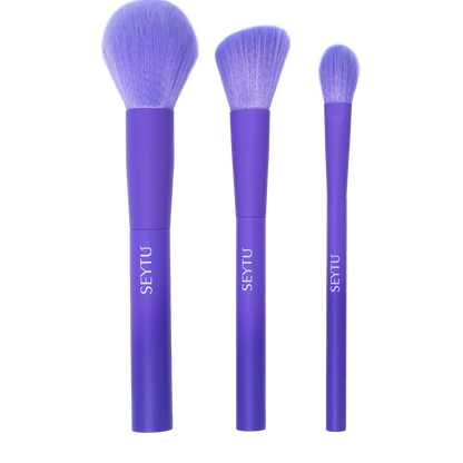 Set de brochas SEYTÚ