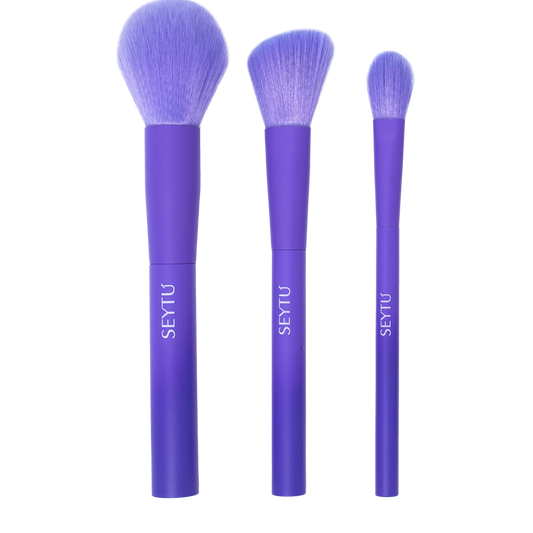 Set de brochas SEYTÚ